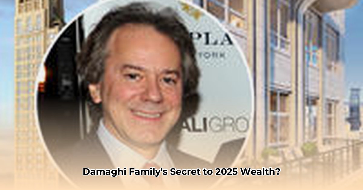 damaghi-family-net-worth